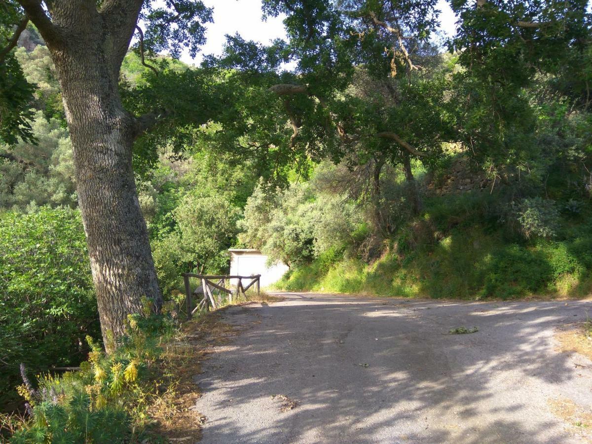 הוילה Aerinos House מראה חיצוני תמונה